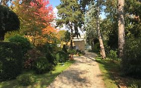 Studio fond de jardin